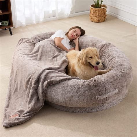 fluffy dog beds for humans.